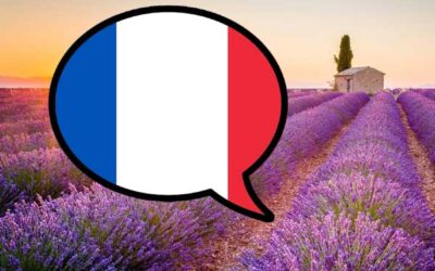Nous parlons français